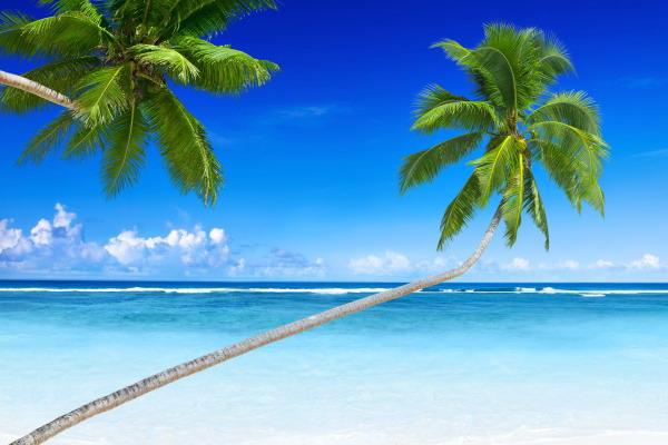 2023水兔命取名字忌讳什么，起名需要注意什么