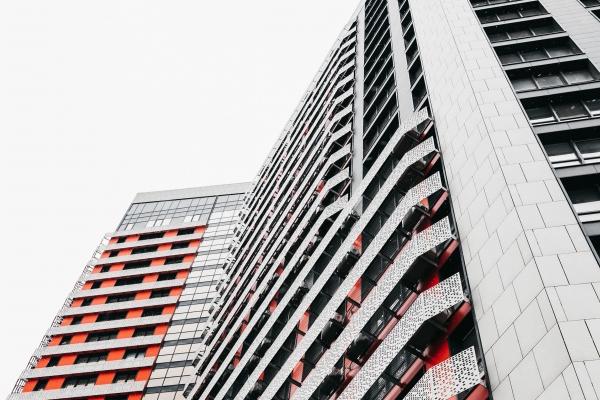 鼠女配蛇男旺夫吗 五行相生相处默契