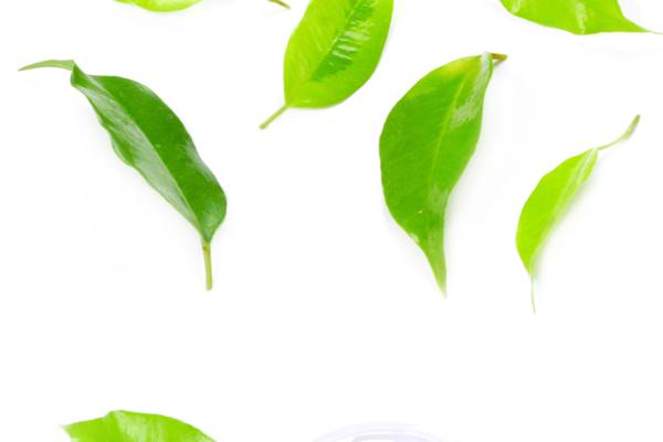 五九年属猪的今年龄多大岁数，命运走向如何