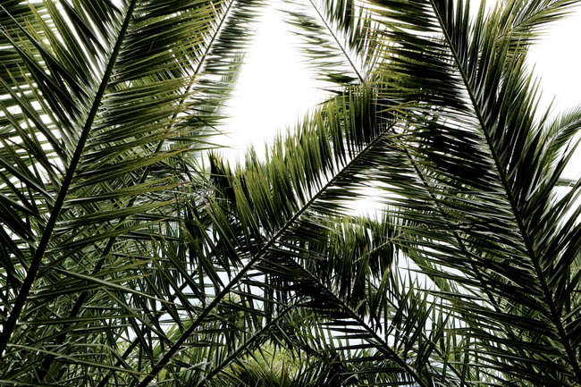 马和羊相配婚姻如何 互补的性格相似的价值观很合适