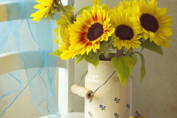 男猴女蛇婚姻是否相配运气怎么样 彼此吸引优点互补