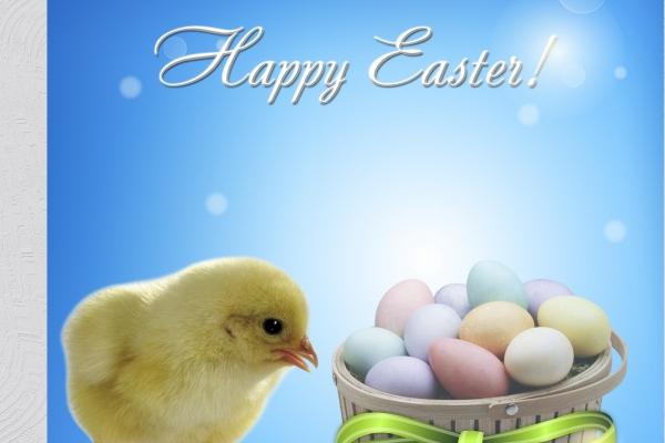 04年属猴女2023年高考运 考上心仪大学