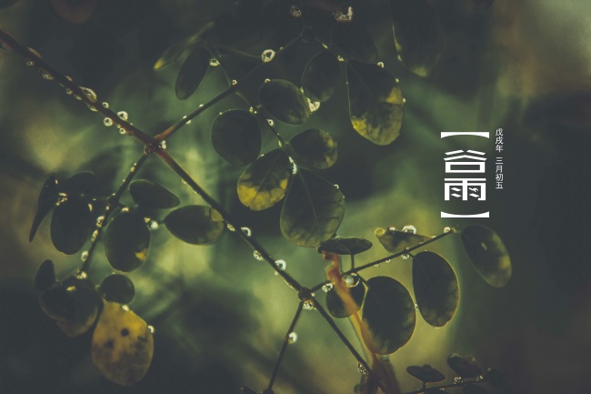 属马和龙婚姻相配吗 互补性较强婚姻和谐