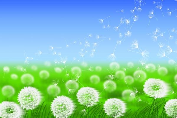 为什么龙和兔不能做夫妻 性格差异大命运相互压制