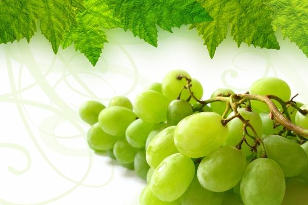 2004年属猴男2023年高考运势 成绩满意吗