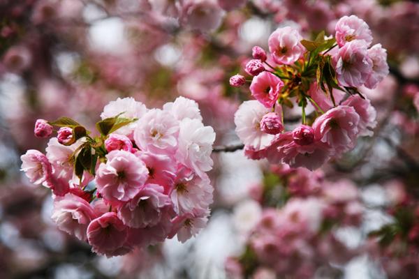 第一运程 2023年6月22日十二生肖运势解析