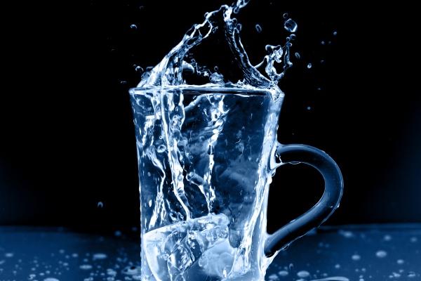 属兔和属猴的合不合财运 婚姻适合吗