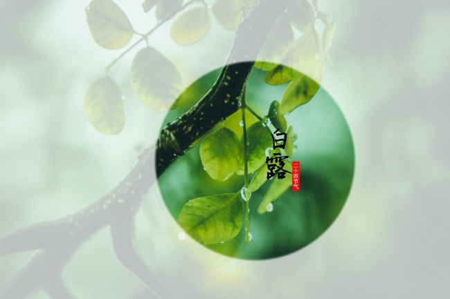 2024年犯太岁最凶的四大生肖 龙狗兔牛要当心