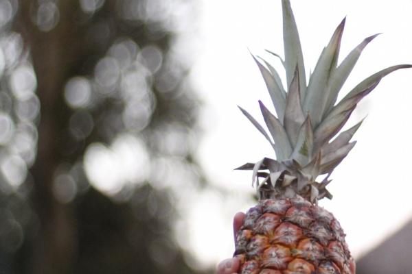 女鼠女兔在一起工作怎么样 是合拍搭档吗