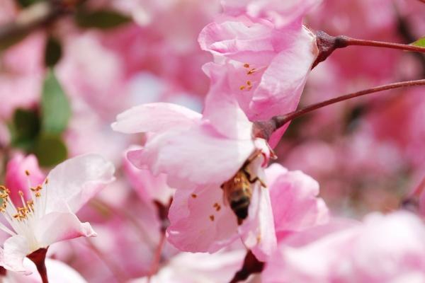 本命年穿红衣服的讲究 源于传统文化的信仰