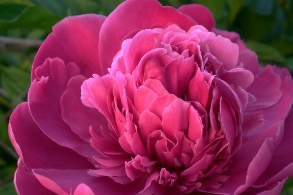 男蛇女猴婚姻会长久吗 复杂组合包容可长久