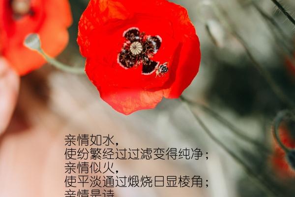 鸡跟龙属相婚姻状况 龙和鸡属相冲吗