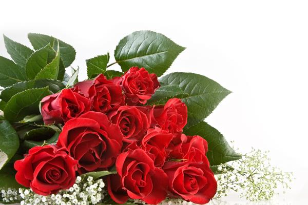 蛇和猪有过一辈子的吗 蛇和猪的婚姻匹配度高吗