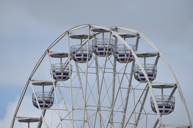 2024年最招财生肖 鼠牛羊轻轻松松赚大钱