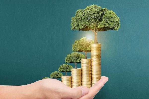 属虎和属牛的婚姻能过一辈子吗 相冲属相性格有差异