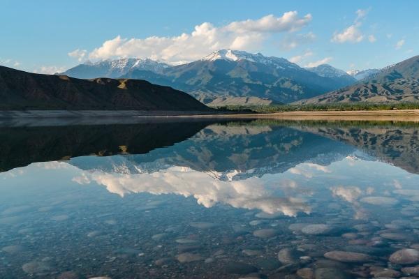 2024年家里会去世的生肖 鼠兔鸡要特别注意