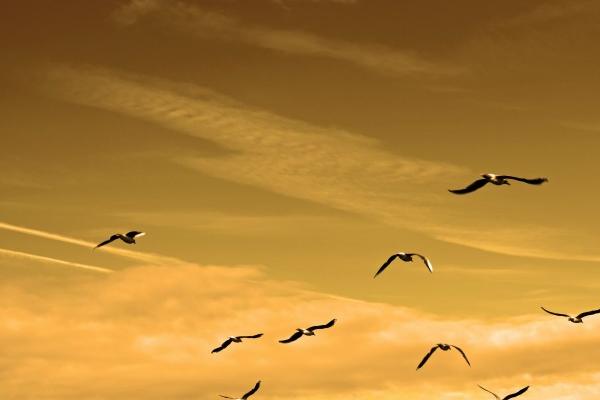 2004年属猴的男孩2023年高考运 学习注意事项