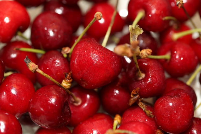 鼠跟蛇在一起婚配好吗 互补长处和谐美满