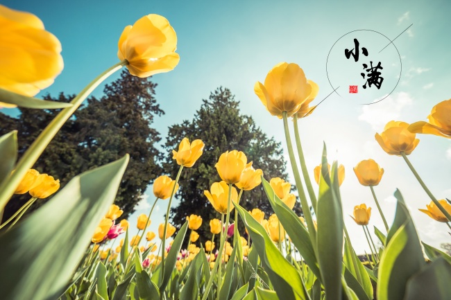 本命年是不是三年运气都不好 如何更好度过本命年