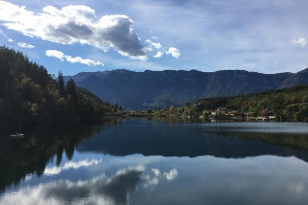 2005年属鸡人2023年高考运 升学考试顺利吗