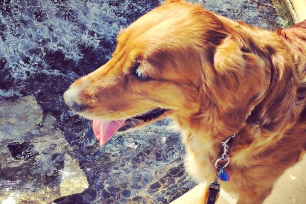 2023年属兔的女孩好不好 本命年怎么样