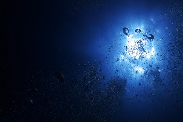 虎太太和牛先生相配吗 属虎女和属牛男的婚姻前景如何