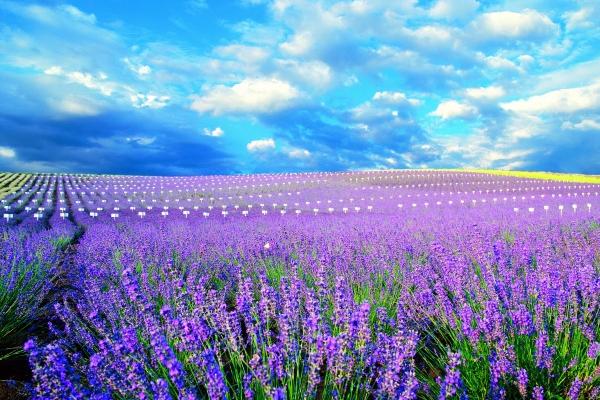 2024年太岁大将军叫什么名字 2024年太岁方位的忌讳