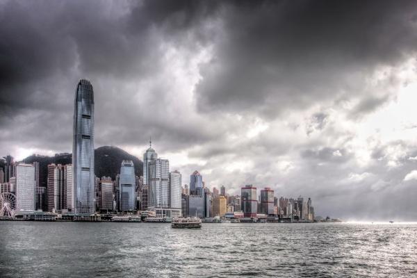 蛇和男狗相配吗 不是最完美也不是最糟糕