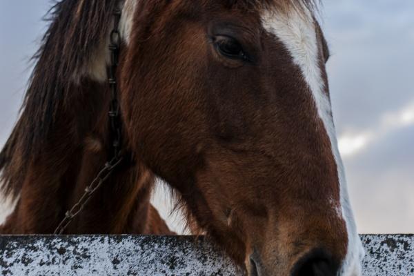 第一运程 2023年6月27日十二生肖运势解析