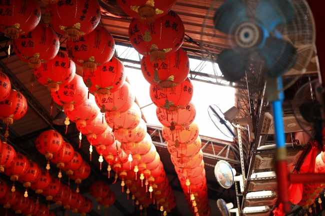 男蛇女猴的生什么属相的宝宝 龙宝宝和狗宝宝最佳