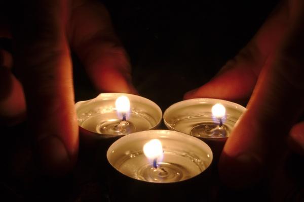 2024最幸运的生肖排行榜 众望所归生肖猪