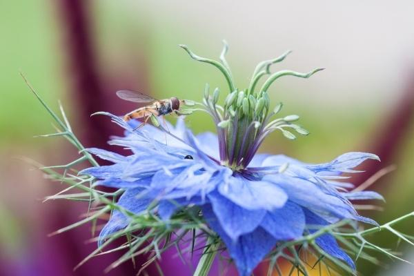 96年的鼠27岁能发财吗，96年属鼠人2023年27岁财运如何