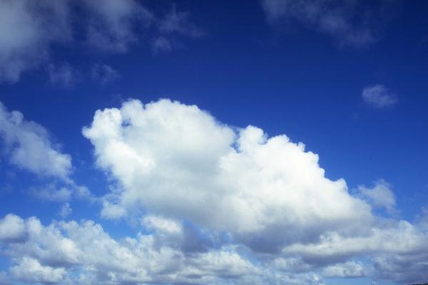 78年属马的养鱼养多少条招财，78年属马人适合养鱼吗