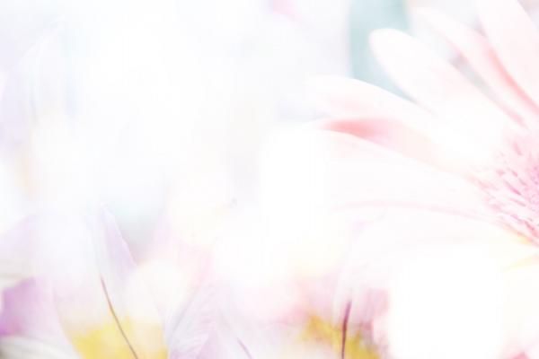 1996年属鼠2023怎么化解太岁，96年属鼠人化解太岁最有效方法