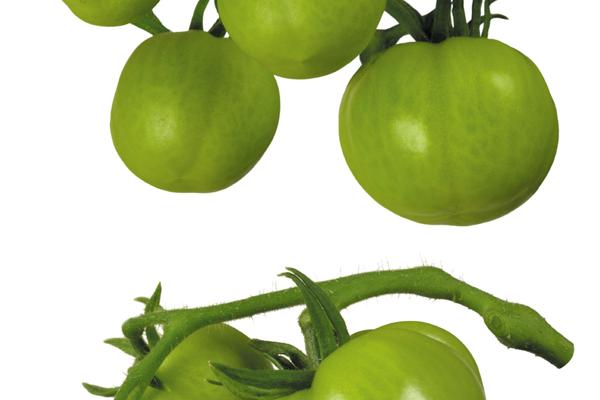 属蛇男和哪个属相最配 天生一对属牛女