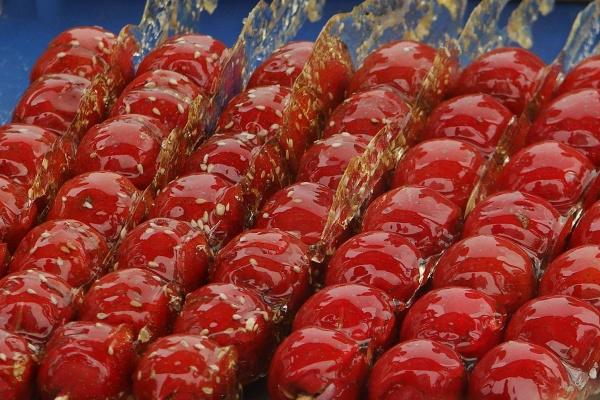 最好的五大生肖2024年 转运的好时机来了