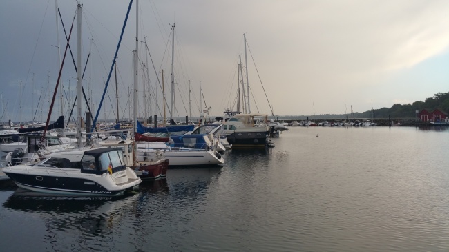 千万不要在一起的两个生肖 差异甚大摩擦不断