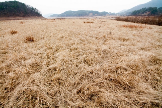76年属龙车牌幸运数字 车牌发财组合