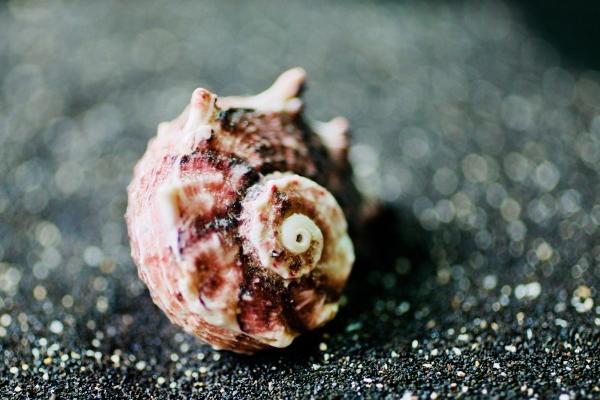 1993年属鸡的婚姻感情 一生婚姻状况分析