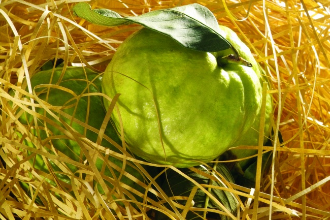 运气最旺的三大生肖2024年 有不菲的收入进账