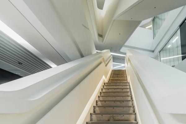 2024年生肖运势运程完整版 谁最幸运呢