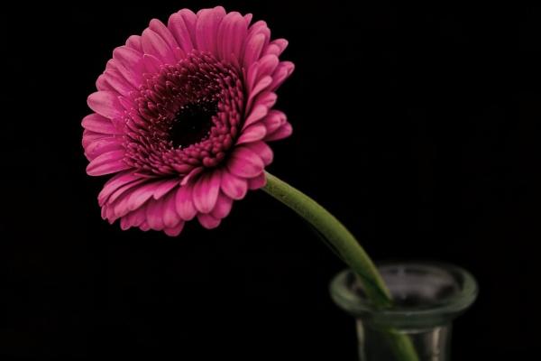 一九九六年属鼠的姻缘怎么样 最佳婚配对象