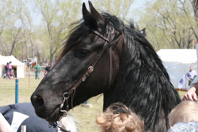 2024年属什么属相 运势如何