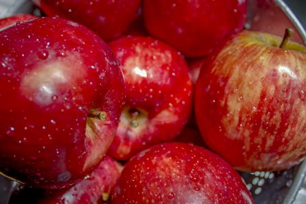 未来一个月霉运远离,好事全来的4个生肖,喜事一波接一波