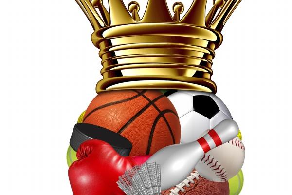 【生肖配对指南】揭秘十二生肖之间最佳的爱情组合，看看你和谁最配！