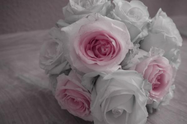 84年属鼠39岁大劫怎么化解呢，84年属鼠人39岁会遇到哪些大劫