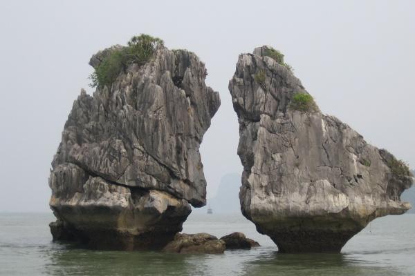 第一运程 2023年十二运势解析查询完整版