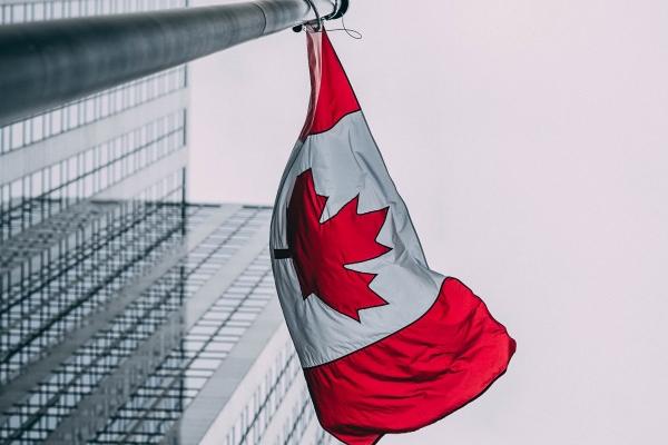 最难懂的三大生肖,神秘而复杂!