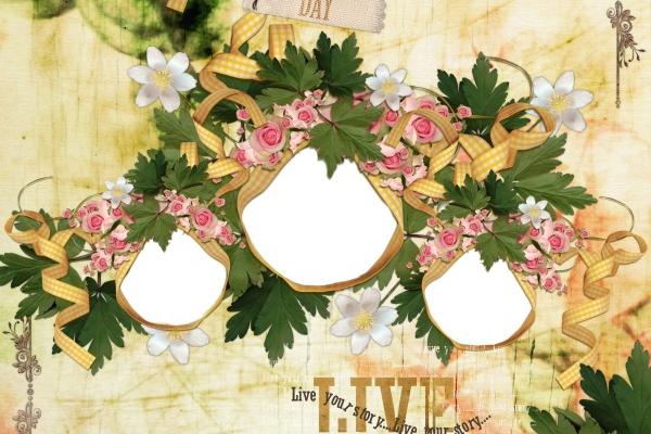 8月三生肖能做大事,成大器,赚大钱！