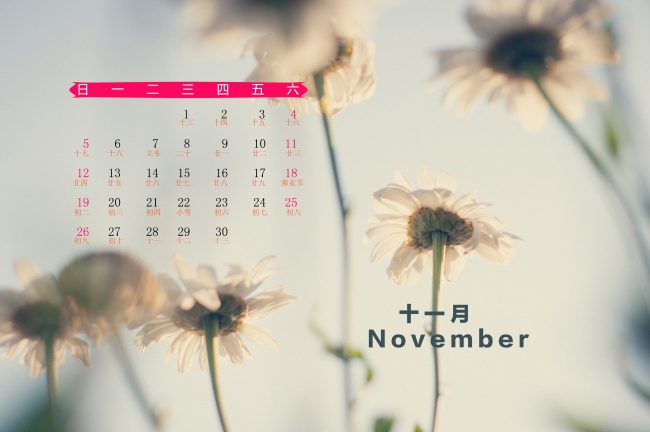 2024年财运翻倍的生肖 有机会收获大量的财富